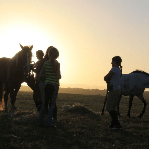 Kids Programmes, Holistic Horse Academy