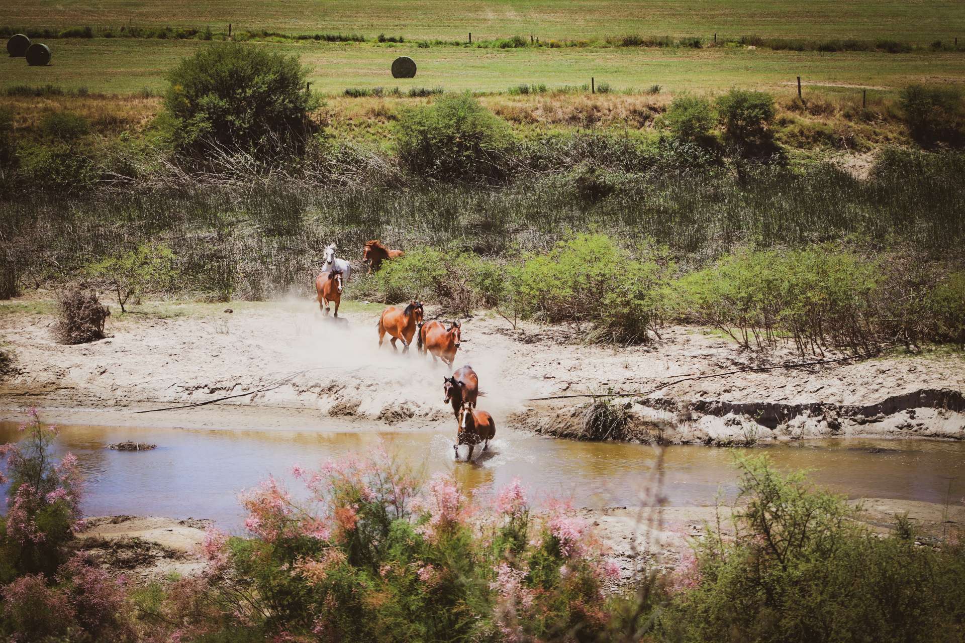 Our farm, holistic horse academy, garden route, off-grid accommodation