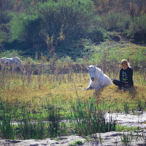 The Holistic Horse Academy Herd, South Africa