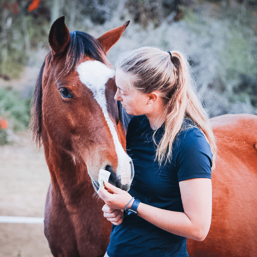 The Holistic Horse Academy Herd, Wellness Retreats