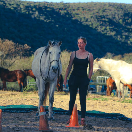 The Holistic Horse Academy Herd, Natural Horsemanship