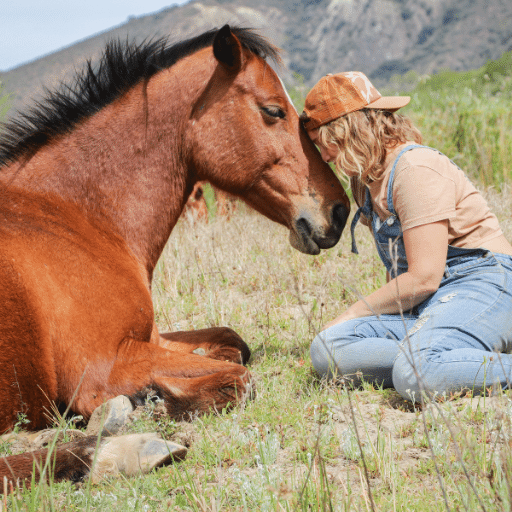 The Holistic Horse Academy Herd, Trauma Healing