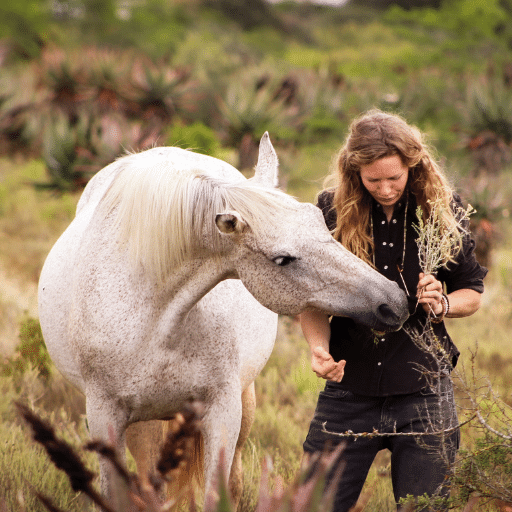 The Holistic Horse Academy Herd, Healing