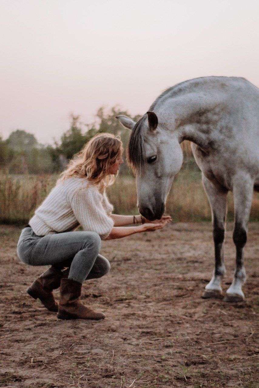 Experience horses through authentic connection, holistic practices in Garden Route, Cape Town, South Africa.