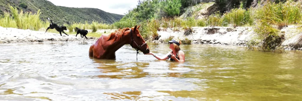 Experience horses through authentic connection, holistic practices in Garden Route, Cape Town, South Africa.