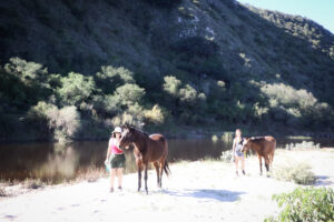 Quiet moment of connection between a person and horse at Holistic Horse Farm & Academy, Garden Route South Africa